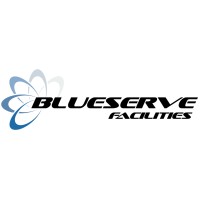 Blueserve logo - Similar company to Pretty Wired