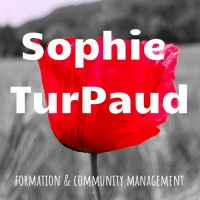Agence Sophie Turpaud logo - Similar company to Toptenpro