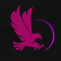 RaptX logo - Similar company to World Wide Flags