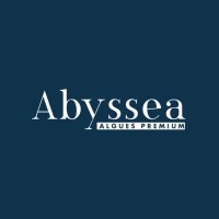 Abyssea logo - Similar company to Abyssa Sas