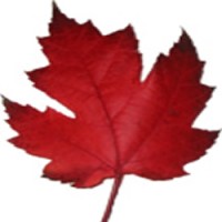 CanWay Technology and CanWay Cabling logo - Similar company to Cablify Network Cabling Canada