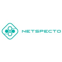 Netspecto logo - Similar company to Privacy Partners