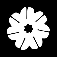 Staytuned logo - Similar company to Codecycle Llp