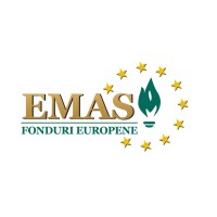 EMAS Business Consulting logo - Similar company to Wintask
