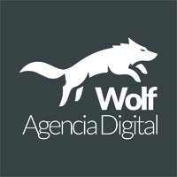 Wolf Agencia Digital logo - Similar company to Wolf Digital