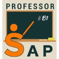 Professor SAP B1 logo - Similar company to Power One Consultoria