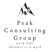 Peak Consulting Group logo - Similar company to Peak Group Consulting