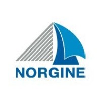Norgine Belgium logo - Similar company to Recordati Benelux Specialty & Primary Care