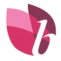 Blooming Color logo - Similar company to Dscoop