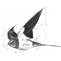 Atelier Hirondelle logo - Similar company to Malbrel Conservation