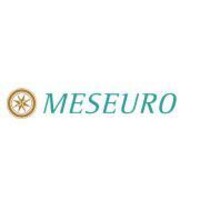 MESEURO logo - Similar company to Politically - Transparent Fundraising For Political Campaigns