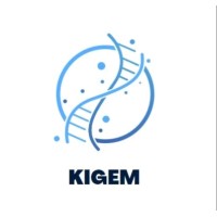 KIGEM logo - Similar company to Reality2You