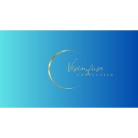 Visionfuse Consulting logo - Similar company to Tenzing One
