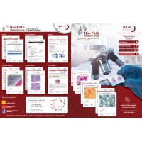 Bio Path Medical Group logo - Similar company to Sameview