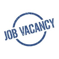 Job.vacancies logo - Similar company to Stuplex It Solutions Pvt Ltd