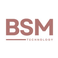 BSM Technology logo - Similar company to Bsm Technology Solutions