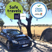 Blue Diamond Deluxe Private Transports logo - Similar company to Lanetours Group