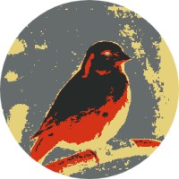 Kanaries Data logo - Similar company to Metaminding Lab