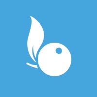 Bcomberry, créateur de site internet