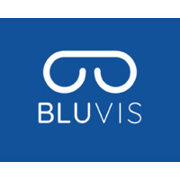 Bluvis Perú logo - Similar company to Niñas De Colores