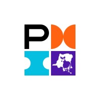 Chapitre PMI RDC logo - Similar company to Econudge Drc