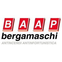BAAP Bergamaschi logo - Similar company to Baap.Digital