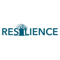 Resilience BV logo - Similar company to Advance Consulting