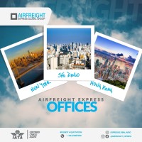 Airfreight Express Global Group ® logo - Similar company to Watcom S De Rl