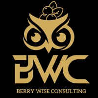Berry Wise Consulting logo - Similar company to Digital Media Ghost