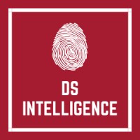 DS Intelligence logo - Similar company to Sherm4N • Ai For Smb