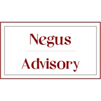 Negus Advisory logo - Similar company to Protech Sécurité