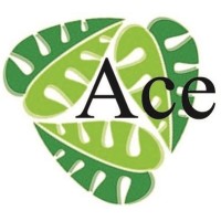 ACE INSULATION INC logo - Similar company to Ace Downhole
