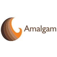 Amalgam HR Consultant logo - Similar company to Electrolyte Solutions