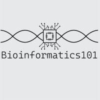 Bioinformatics 101 logo - Similar company to Bioinformatics Munich Student Lab (Bmsl)