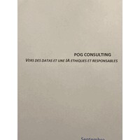 POG-consulting logo - Similar company to Digital & Ethics