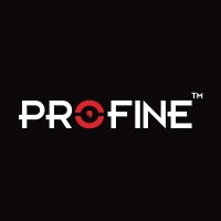 Profine logo - Similar company to Workman