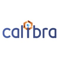 Calibra Solutions Limited logo - Similar company to 800 Tech Limited