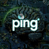 Ping Networks logo - Similar company to Tyle Software Solutions