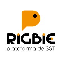 RIGBIE - Plataforma de SST logo - Similar company to Logiconn