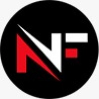 Netflairs Technology logo - Similar company to 2S Global Technologies