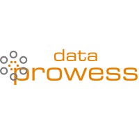 Data Prowess logo - Similar company to Data Infominds