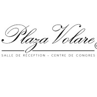 Plaza Volare (PMG) logo - Similar company to Direct Pay Solutions