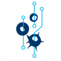 Yale Center for Systems and Engineering Immunology logo - Similar company to Connected Cx