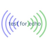 Test for Echo logo - Similar company to Gamechanger
