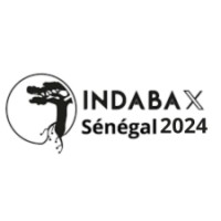 IndabaX Senegal logo - Similar company to Kapio Group