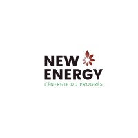 NEW ENERGY Metz logo - Similar company to Slashdata Digital