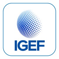 IGEF - International Gas & Energy Forum logo - Similar company to Efya