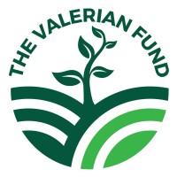The Valerian Fund logo - Similar company to Shockwave Foundation
