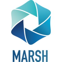 Marsh Cleaning