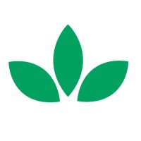 Mint Condition Nashville logo - Similar company to Mint Condition Ga